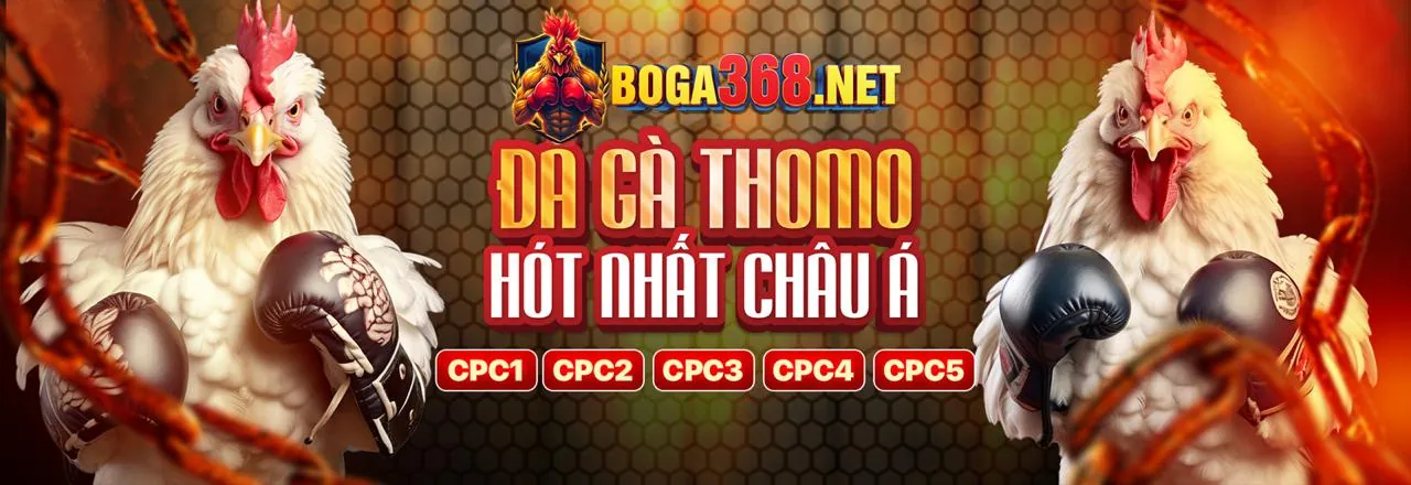 Tầm quan trọng của GDPR đối với 79king 2