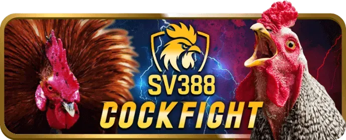 Đá gà trực tuyến 79king 2